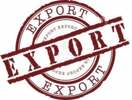 Servizio Export Check-up gratuito